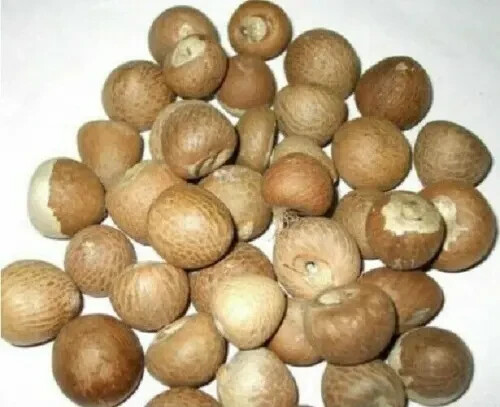 100% sri lanka organic natural dried karunka betel nut areca nut fast shiping