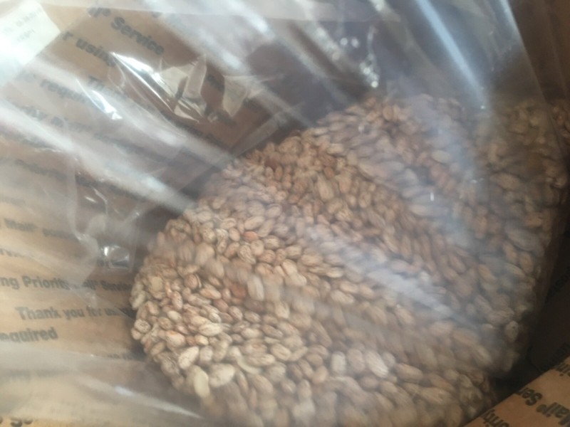54 lbs Pinto Beans New Triple Clean U.S. No. 1 Crop total 54 pounds El Toro gallery