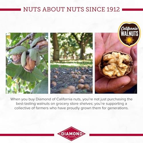 Diamond Of California Salted Dark Chocolate Walnut Snack Nuts 4 oz 4 Pack gallery
