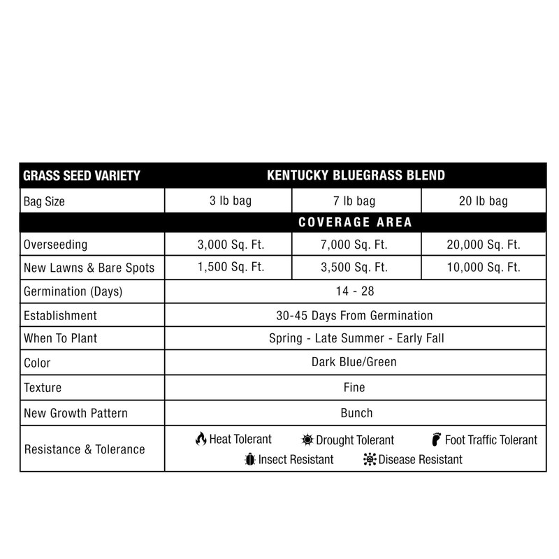 Kentucky Bluegrass Seed Blend, 20 lb Bag - Covers 20,000 sq ft - Lush Lawn Growt gallery