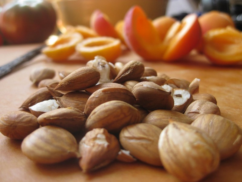 Bitter Apricot Seeds 100% Natural, Organic, California Grown - 8 OZ Pack gallery