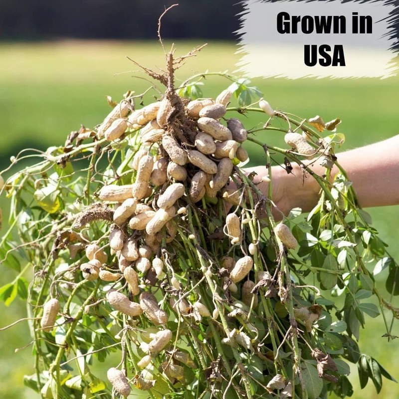 Organic Shelled Peanuts, 10 lbs for Birds and Squirrels. Grown Non-GMO, Raw,... gallery