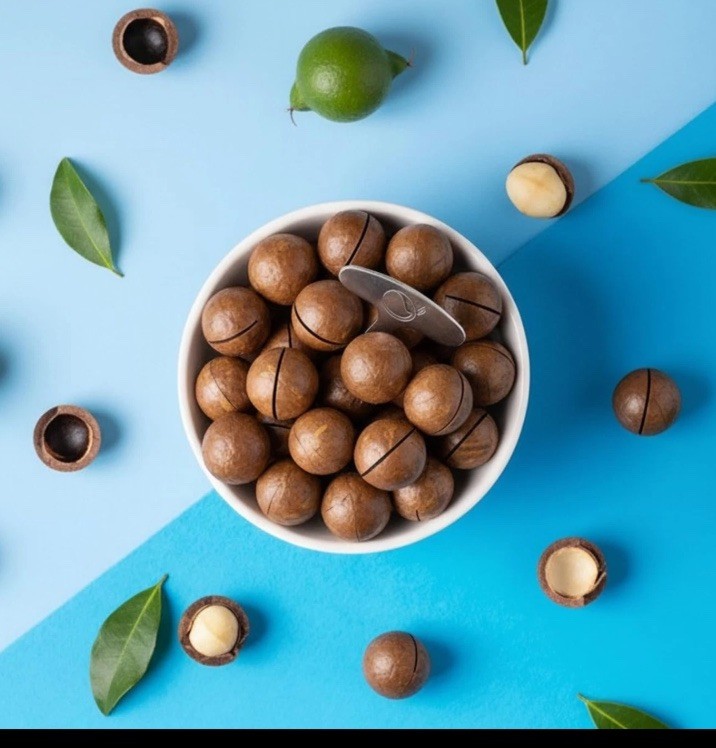 Australian Macadamia Dry Roasted Nuts In Shell Twist/Open Key - 225g Free SHIP gallery