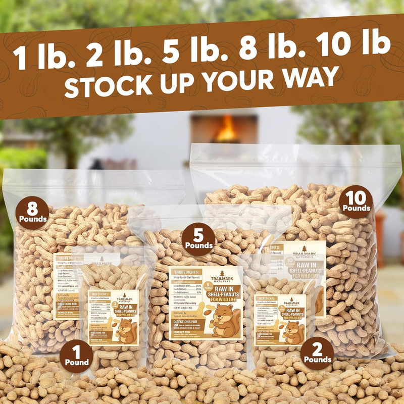 Raw In Shell Peanuts for Squirrels Birds & Wildlife 2 Pack 10 lbs USA gallery
