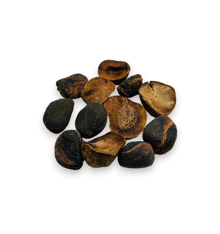 Dried Kola Nuts - 460 Grams (16.3 oz) - Premium Quality Cola Acuminata gallery