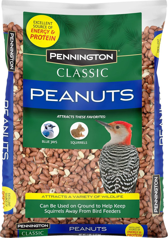 Classic Shelled Peanuts 5 Pounds gallery
