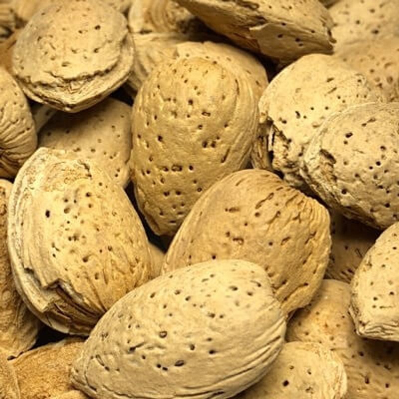 Torn & Glasser 1 lb Pecans, Almonds, Hazelnuts, Brazil Nuts, or Walnuts in Shell gallery