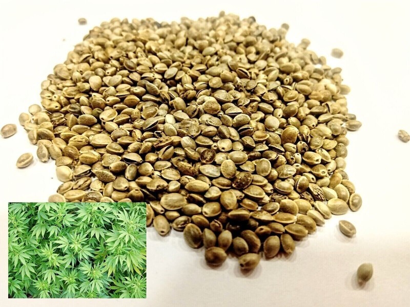 Natural Hemp seeds Organic seeds Vegan seeds 30oz 850gr Ecological Grown gallery