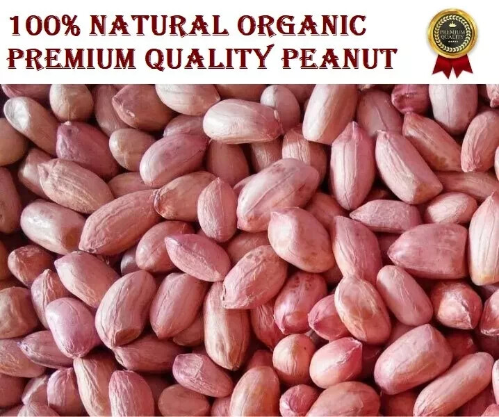 100% Pure Natural Raw Unsalted Peanuts Groundnut Best Quality Dry Fruit 100G