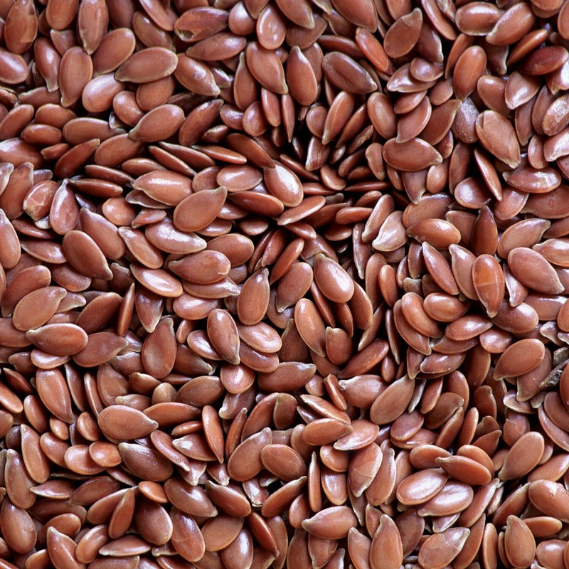 Bulk Flax Seeds 10 Pound Wholesale Value Box