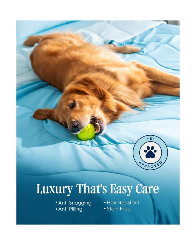 REST Save $129 on Evercool Comforter + 2 Cooling Pillowcases Value Bundle - i... gallery