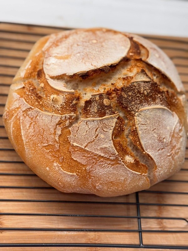 Ancient Gluten Free Sourdough Starter | 240+ Year San Francisco Culture gallery