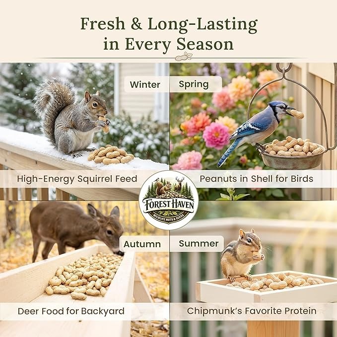 Raw Peanuts for Squirrels Peanuts in Shell for Birds, Deer & Wildlife USA Grown gallery