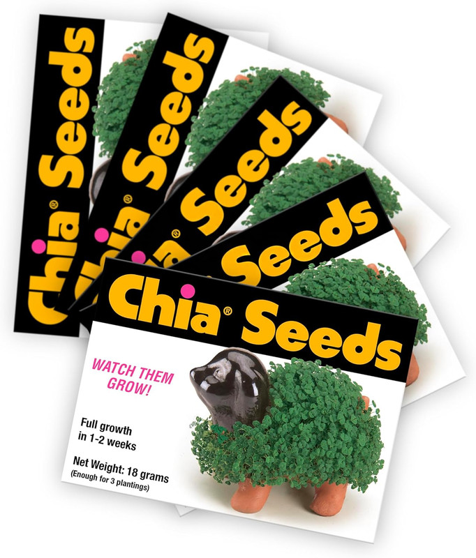 Seed Packet, 5 Count ( Pet Not Included) 5 Count, Green