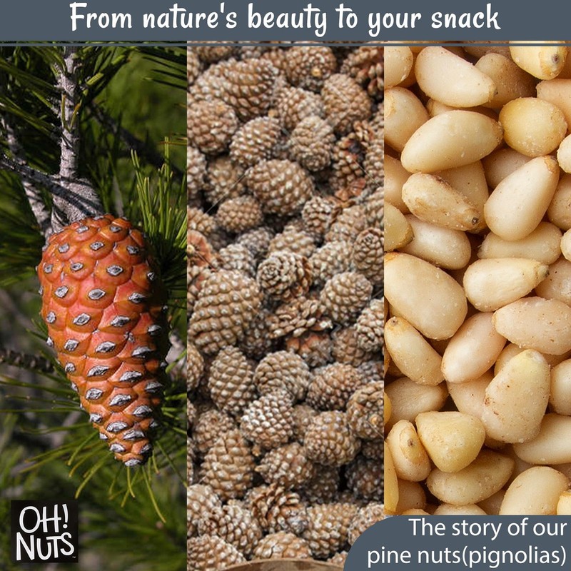Raw Pine Nuts 1 Lb Shelled Premium Quality Perfect For Cooking And Baking gallery