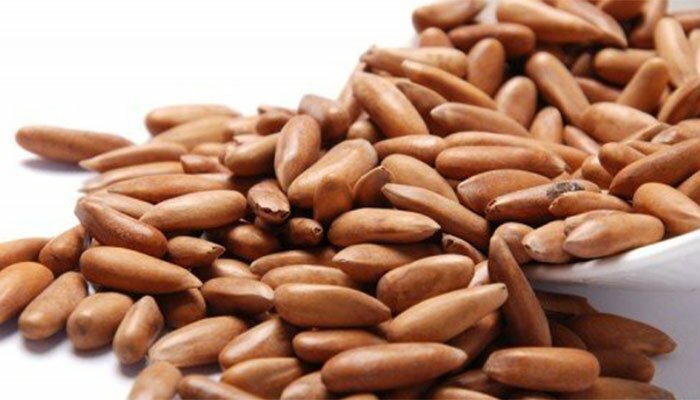 PINE NUTS CHILGHOZA SHELLED A Grade FROM BANU, PAKISTAN. gallery