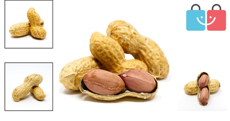 Premium 2.5lb Jumbo Raw Peanuts in Shell For Squirrels - Unsalted Treats gallery