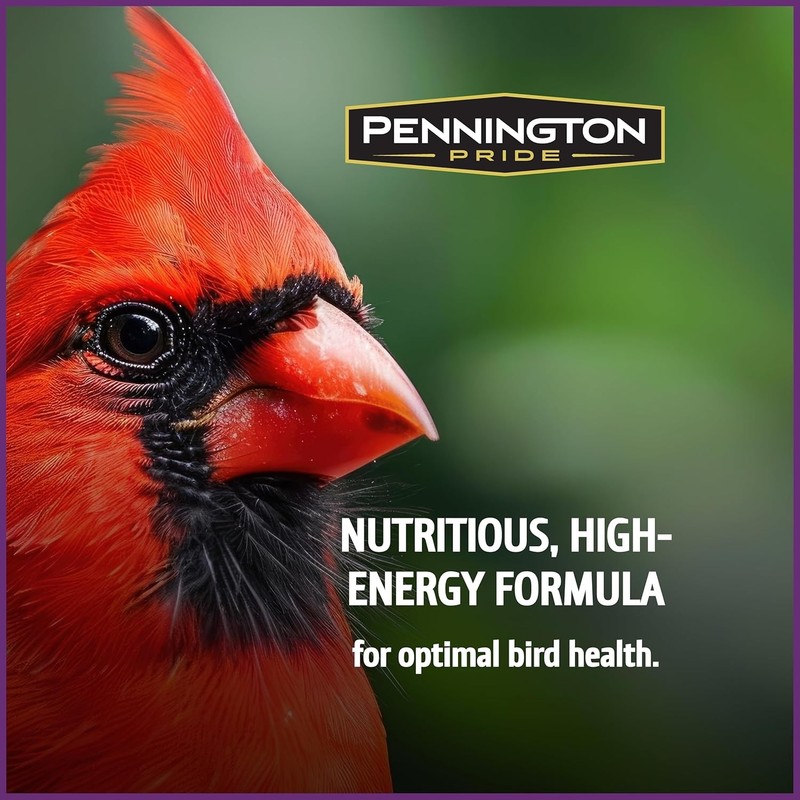 Pennington Pride Songbird Nut & Fruit Blend, Wild Bird Seed for Outside Feeders, gallery