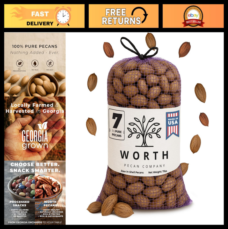Bulk Raw Georgia Pecans 7 lb Bag – Natural Whole In-Shell Nuts for Baking & Snac