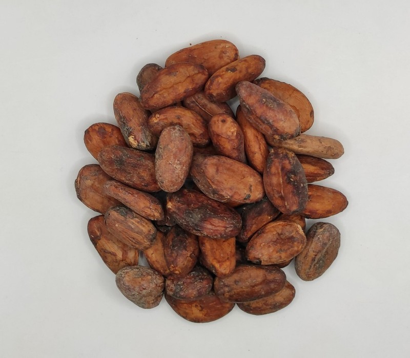 Raw Cacao Beans 85g(3 oz) - 1.95Kg(68.8 oz) Theobroma Cacao gallery