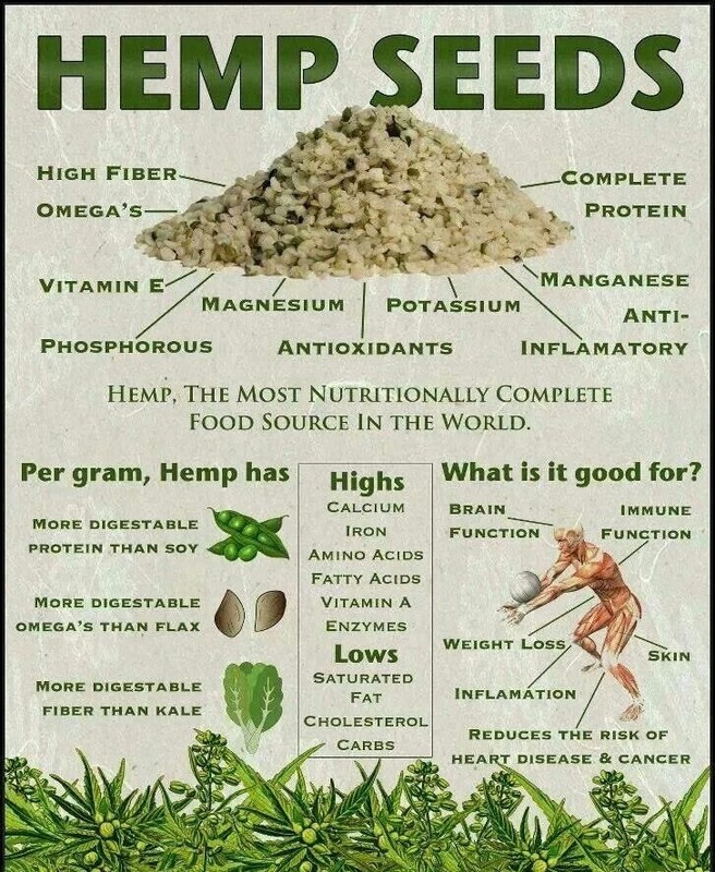 1 Pound (16 oz) Hemp Hearts Raw Shelled Hemp Seeds, Natural,FRESH gallery