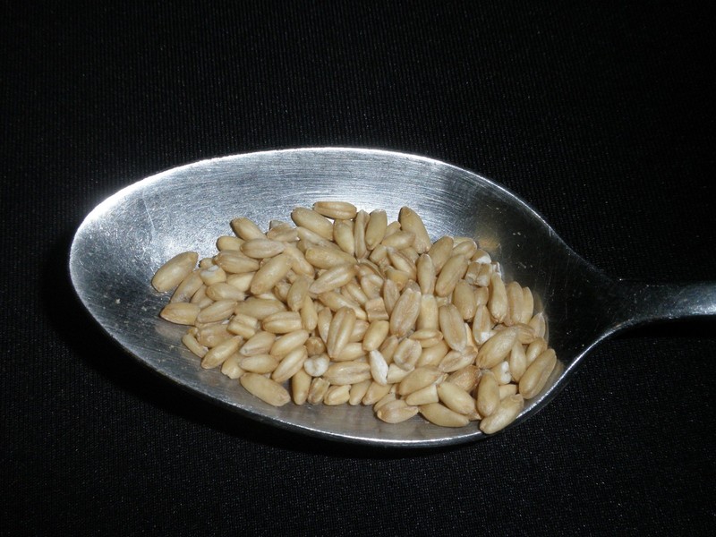 Whole Oats 5 Pounds Hulled, Groats, USDA Certified Organic Non-GMO Bulk, gallery