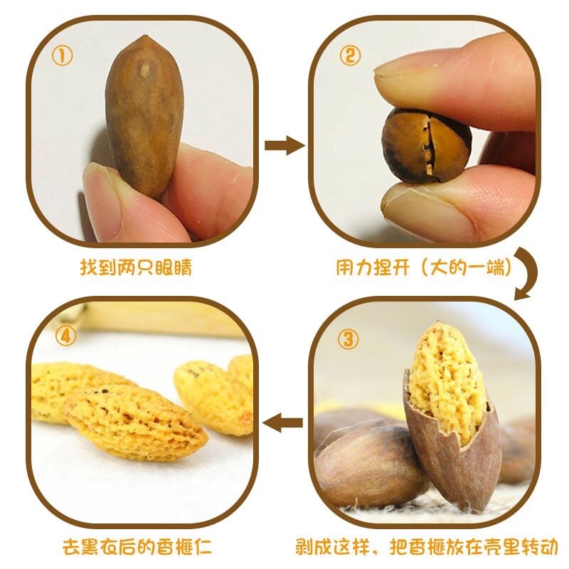2022 hineseTorreya grandis new snacks (诸暨枫桥香榧）500g gallery
