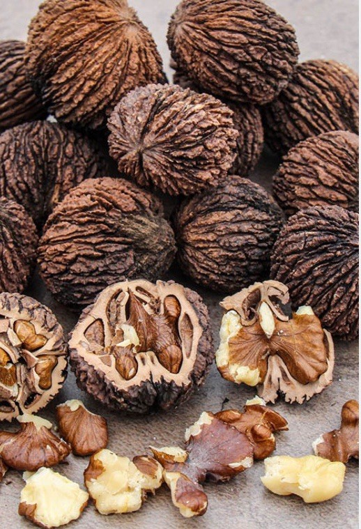 Two Pound Whole Black Walnuts in Shell Organic E. Tennessee 2025 Harvest USA
