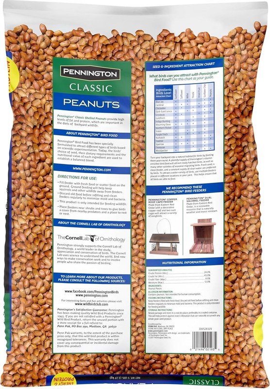 Classic Shelled Peanuts 5 pounds gallery