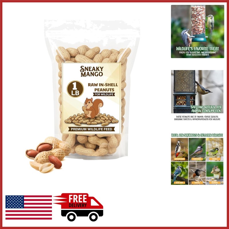 1 Pound Raw Peanuts in Shell for Birds, Squirrels, and Deer – All-Natural Food