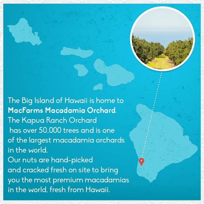 Fresh From Hawaii - Dry Roasted Macadamia Nuts 24 OZ gallery