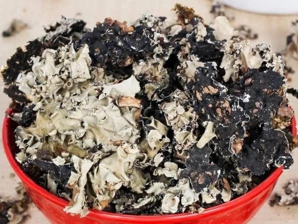 Namo Organics Stone Flower Spices 100 Gm Dagad Phool Kalpasi for biryani gallery