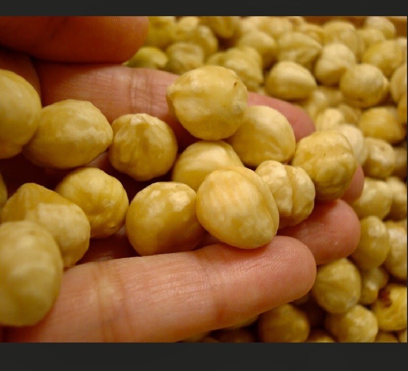Turkish Blanched Shelled Hazelnut Always Fresh 2025 Crop 11 oz.to30 lbs. Agro Su gallery
