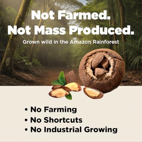 Premium Wild Harvested Raw Brazil Nuts 8oz High Selenium Batch Tested Peanut Bag gallery