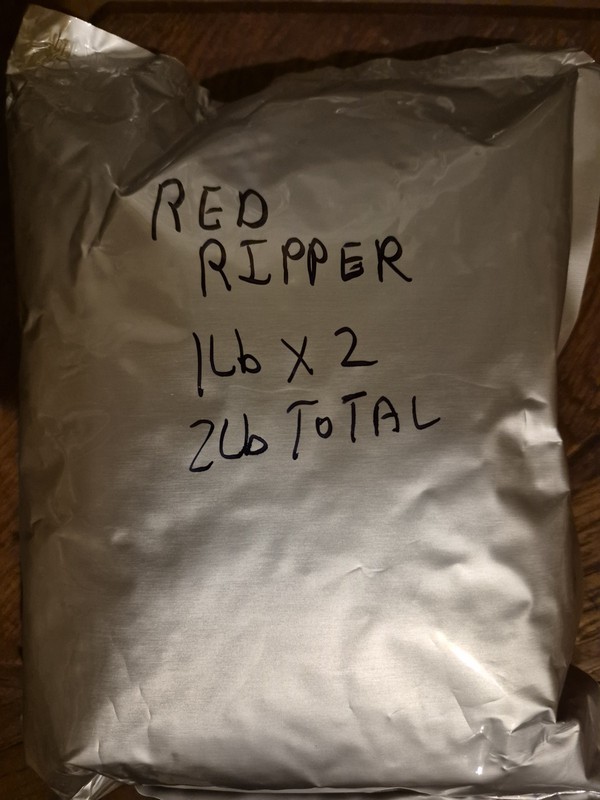 Red Ripper pea seed gallery