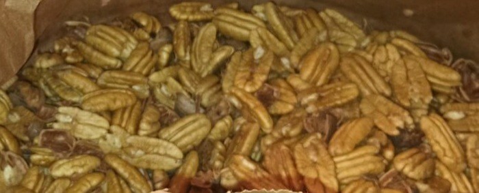 FRESH Organic Shelled PECANS