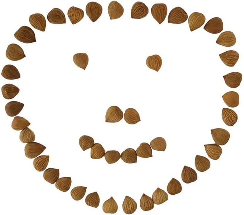 Natural Bitter Apricot Kernels, Organic USDA Certified Bitter Apricot gallery