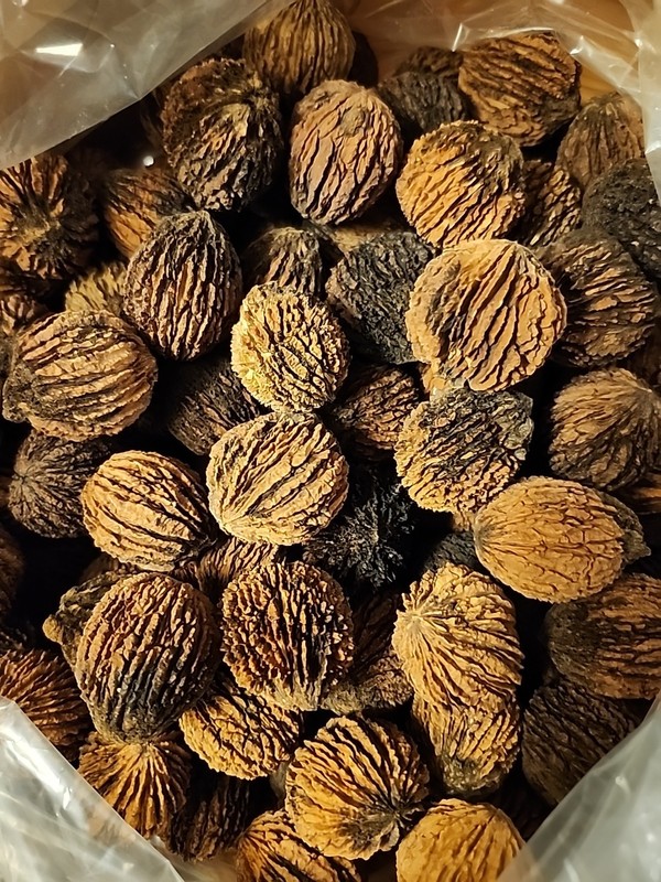 NEW 30 Lbs Black Walnuts hulled, in shell fresh harvest 2025, GA Non GMO ORGANIC gallery